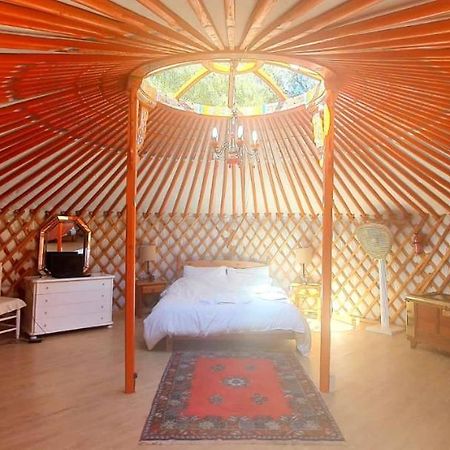 阿尔加罗沃 Eldorado Yurt酒店 外观 照片