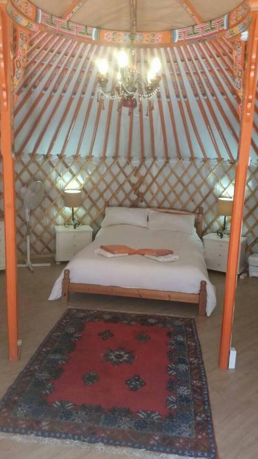 阿尔加罗沃 Eldorado Yurt酒店 外观 照片