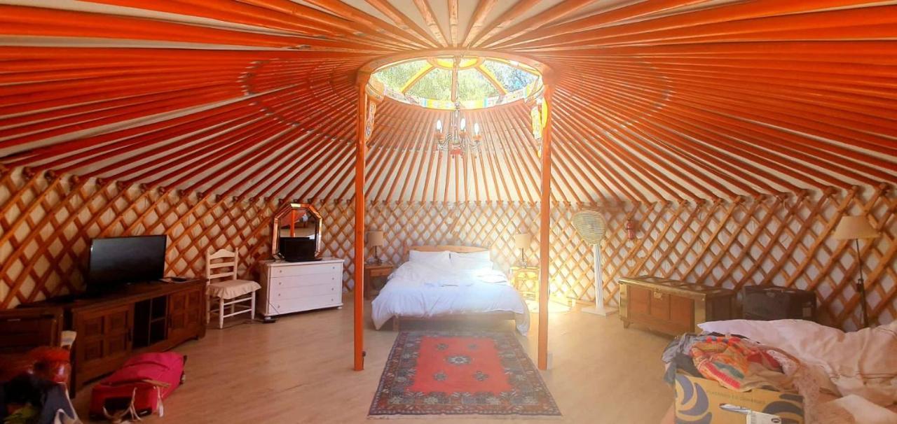 阿尔加罗沃 Eldorado Yurt酒店 外观 照片