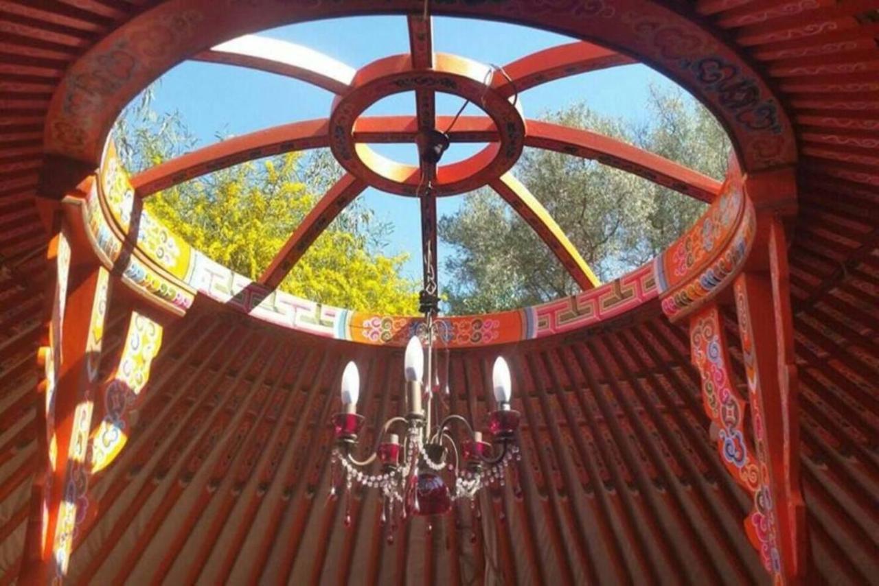 阿尔加罗沃 Eldorado Yurt酒店 外观 照片